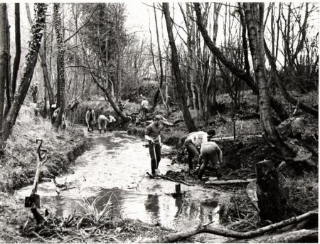 early photo 1.jpg early photo 1.jpg