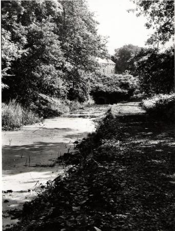 The Canal at Commercial Road Resolven