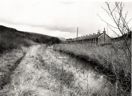 The canal at Clyne