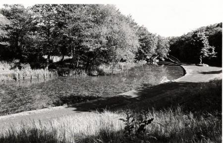 Aberdulais Basin