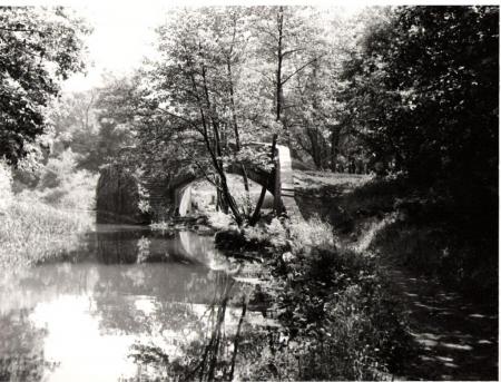 The Skew Bridge